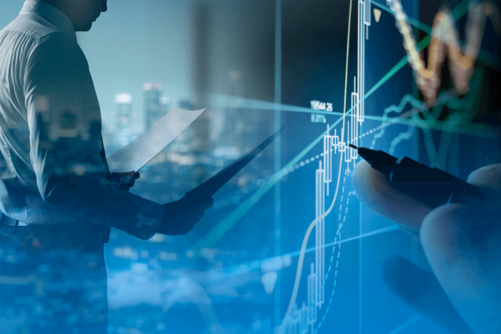 Master in Business and Public Auditing